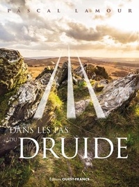 Pascal Lamour - Dans les pas du druide.