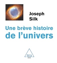 Joseph Silk - Une brève histoire de l'univers.