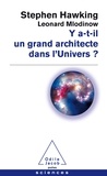 Stephen Hawking - Y a-t-il un grand architecte dans l'Univers ?.