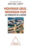 Michel Savy - Nouveaux lieux, nouveaux flux - Les mobilités de l'avenir.