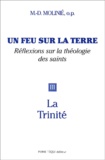 Marie-Dominique Molinié - Un feu sur la terre - Tome 3, La Trinité.