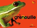  Dreaming Green et Ji-yeon Lim - La grenouille.