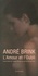 André Brink - L'Amour et l'Oubli.