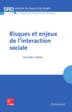 Jean-Marc Stébé - Risques et enjeux de l'interaction sociale.