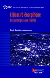 Paul Baudry - Efficacité énergétique - Des principes aux réalités.