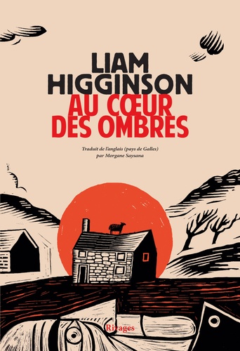 vers le roman Au coeur des ombres de Liam Higginson