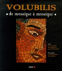Daniel Drocourt et Hassan Limane - Volubilis - De mosaïque à mosaïque.