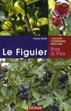 Pierre Baud - Le Figuier - Pas à pas.