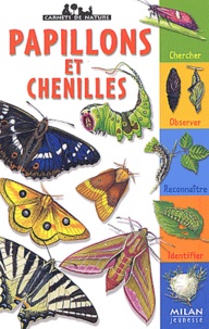 Léon Rogez - Papillons et chenilles.