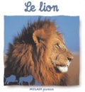 Natacha Fradin - Le lion.