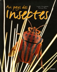 Lionel Valladares et Antoine Brin - Au pays des insectes.