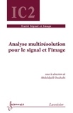 Abdeldjalil Ouahabi - Analyse multirésolution pour le signal et l'image.