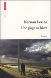 Norman Levine - Une plage en hiver.