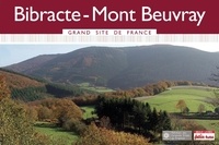 Dominique Auzias et Jean-Paul Labourdette - Bibracte-Mont Beuvray Grand Site de France 2015 Petit Futé.