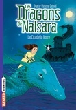 Marie-Hélène Delval - Les dragons de Nalsara Tome 9 La citadelle noire.