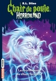 Horrorland, Tome 13 - Les hurlements du chien fantôme.