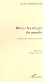 Chekib Abdessalam - Bleuir les doigts du monde - Pétrole puis soudain le désert.