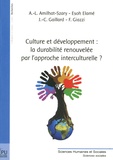 Anne-Laure Amilhat-Szary et Esoh Elamé - Culture et développement : la durabilité renouvelée par l'approche interculturelle ?.