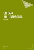 Bruno Rispal - Un banc au Luxembourg.