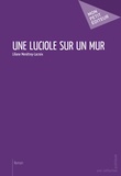 Liliane Ménétrey-Lacroix - Une luciole sur un mur.