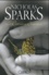 Nicholas Sparks - La dernière chanson.
