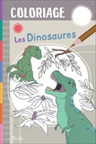 Erika De Giglio - Les Dinosaures.