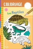 Laura Tavazzi - Les reptiles.