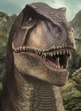 Piccolia - T Rex.