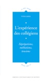 Yves Careil - L'expérience des collégiens - Ségrégations, médiations, tensions.
