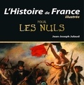 Jean-Joseph Julaud - L'histoire de France illustrée pour les nuls.