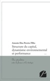 Antonio Dias Pereira Filho - Structure du capital, dynamisme environnemental et performance - Une articulation entre la finance et la stratégie.