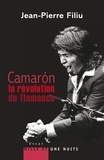 Jean-Pierre Filiu - Camarón, la révolution du flamenco.