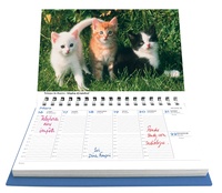 L'agenda-calendrier chats et chatons  Edition 2015