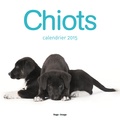  Collectif - Calendrier mural chiots 2015.
