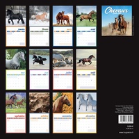 Calendrier mural Chevaux  Edition 2020