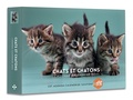  Collectif - Agenda - calendrier chats et chatons 2025.
