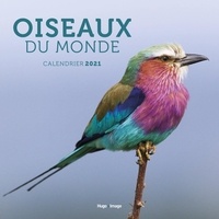 Clément Ronin - Calendrier Oiseaux du monde.