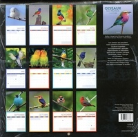 Calendrier Oiseaux du monde  Edition 2021