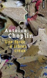 Antoine Choplin - Une fôret d'arbres creux.