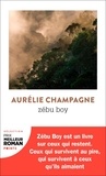 Aurélie Champagne - Zébu Boy.