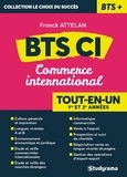 Franck Attelan - BTS commerce international - Tout-en-un.
