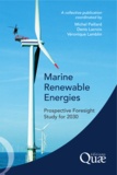  Paillard/lacroi - Marine Renewable Energies - Prospective Foresight Study for 2030.