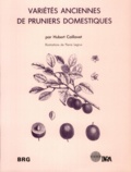  Caillavet - Variétés anciennes de pruniers domestiques - Caractères distinctifs, description de 80 variétés.