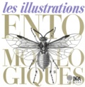  Collectif - Les illustrations entomologiques.