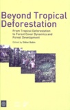 Didier Babin - Beyond Tropical Deforestation - From Tropical Deforestation to Forest Cover Dynamics and Forest Development.