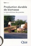 Denis Pouzet - Production durable de biomasse - La lignocellulose des poacées.