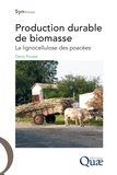 Denis Pouzet - Production durable de biomasse - La lignocellulose des poacées.