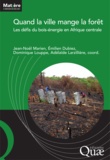 Jean-Noël Marien et Emilien Dubiez - Quand la ville mange la forêt - Les défis du bois énergie en Afrique centrale.