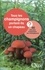 Francis Martin - Tous les champignons portent-ils un chapeau ? - 90 clés pour comprendre les champignons.