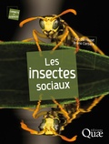 Eric Darrouzet et Bruno Corbara - Les insectes sociaux.